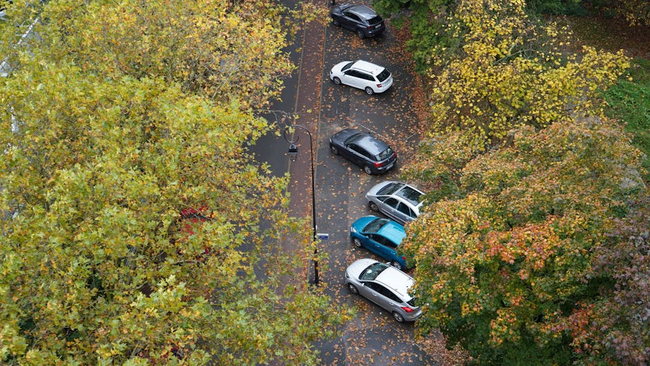 An aerial view of a parking area partially shaded by trees with green, yellow, and orange leaves, indicating an autumn setting. The parking lot contains five cars of different colours including white, black, grey, and blue, parked in designated spaces along a paved area. A street lamp is situated near the centre of the parking area, with a pathway adjacent to the parking spaces. The scene captures the environment where home relocation or furniture transport might take place, supported by the context of moving services such as those offered by Man with Van Muswell Hill. This image reflects a typical urban parking space used during a house removal or packing and moving process, with some cars parked close to a building entrance or driveway, ready for loading or unloading furniture and packing materials.