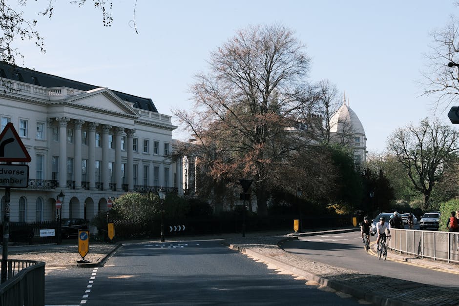 A street scene near Alexandra Palace in Muswell Hill shows a large, white, neoclassical-style building with columns and ornate detailing on the left side, partially obscured by leafless trees. In the background, the iconic dome of Alexandra Palace is visible behind the trees. The road curves gently to the right, with some pedestrians and cyclists moving along the pavement, which is protected by metal barriers. Several vehicles are parked along the street, and orange and blue traffic bollards mark the edge of the loading area. The scene is illuminated by natural daylight, with clear skies overhead. The image captures a quiet moment during housing or furniture transport activities, with an emphasis on urban surroundings suitable for house removals or moving services provided by Man with Van Muswell Hill, especially around restricted access areas like Alexandra Palace.